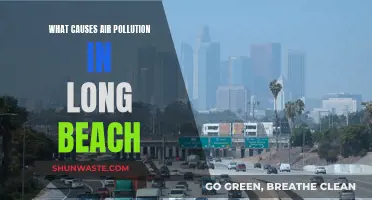 Unveiling Long Beach's Air Pollution: Sources and Solutions