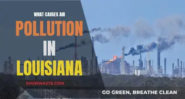 Louisiana's Air: Unveiling Sources of Pollution