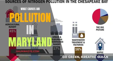 Unveiling Maryland's Air Pollution: Sources and Solutions