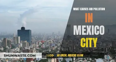 Mexico City's Air Pollution: Causes and Concerns