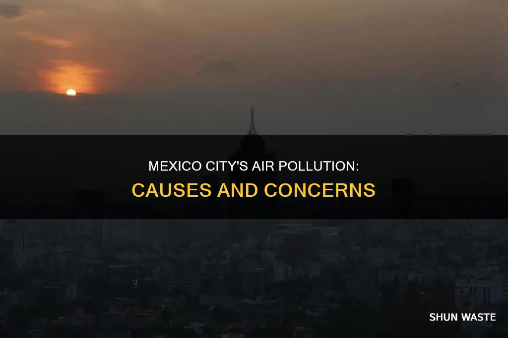 what causes air pollution in mexico city
