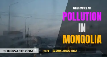 Unveiling Mongolia's Air Pollution: Sources and Solutions