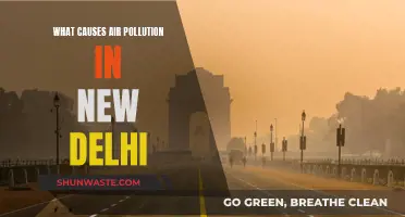 Delhi's Air Pollution: Causes and Concerns