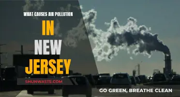 Unveiling New Jersey's Air Pollution: Sources and Solutions