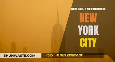 Unveiling the Sources: Why NYC's Air Quality Needs Attention