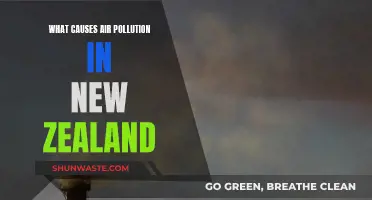 Unveiling New Zealand's Air Pollution: Sources and Solutions