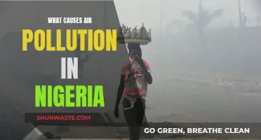 Unveiling Nigeria's Air Pollution: Sources and Solutions