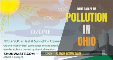 Unveiling Ohio's Air Pollution: Sources and Solutions