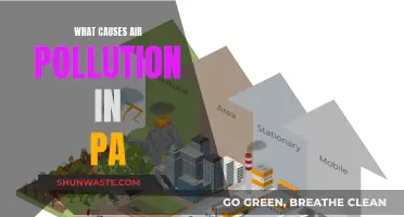 Air Pollution in PA: What's the Main Culprit?