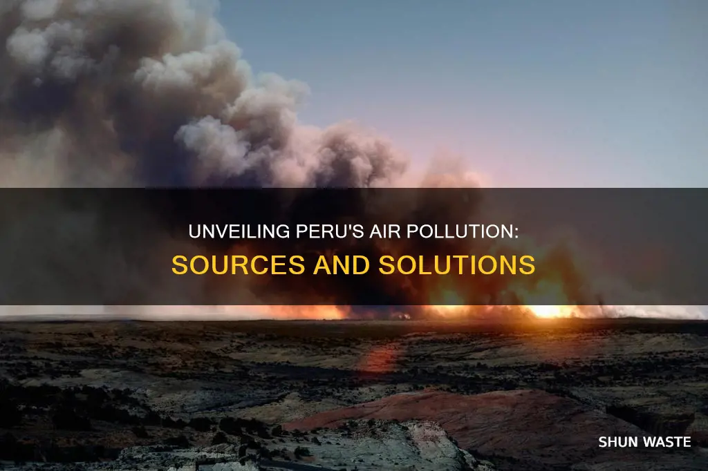 what causes air pollution in peru