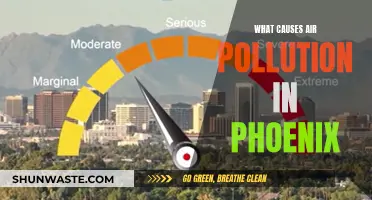 Unveiling Phoenix's Air Pollution: Sources and Solutions