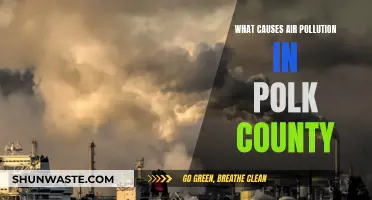 Unveiling Polk County's Air Pollution: Sources and Solutions Revealed