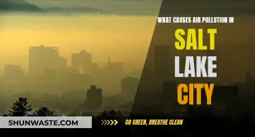 Unveiling Salt Lake City's Air Pollution: Sources and Solutions