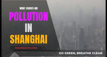 Unveiling Shanghai's Air Pollution: Sources and Solutions