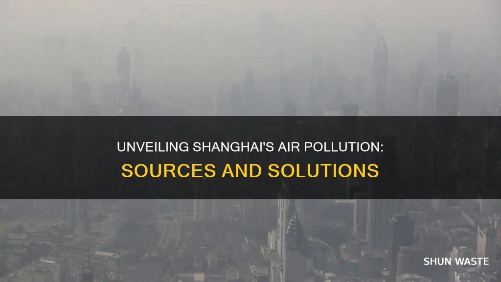 what causes air pollution in shanghai