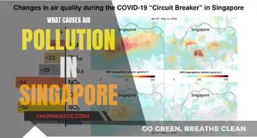 Singapore's Air: Unveiling the Sources of Pollution