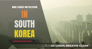 Unveiling South Korea's Air Pollution Crisis: Sources and Solutions