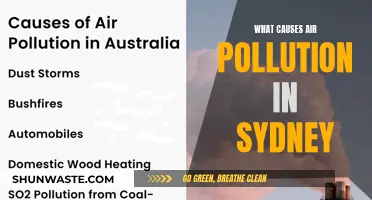 Unveiling Sydney's Air Pollution: Sources and Solutions