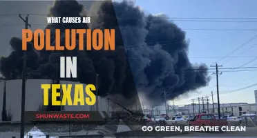 Texas Air: Unveiling the Sources of Pollution