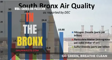 Unveiling the Bronx's Air Pollution: Sources and Solutions