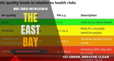 Unveiling East Bay's Air Pollution: Sources and Solutions Revealed