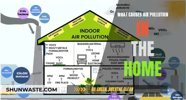 Unveiling Hidden Sources: What Causes Air Pollution in Your Home?