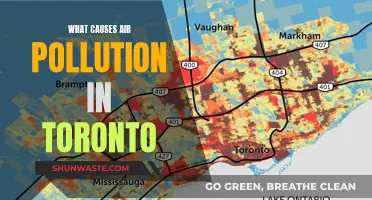 Unveiling Toronto's Air Pollution: Sources and Solutions