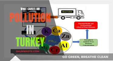 Unveiling Turkey's Air Pollution: Sources and Solutions