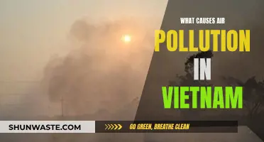 Unveiling Vietnam's Air Pollution: Sources and Solutions