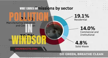 Unveiling Windsor's Air Pollution: Sources and Solutions