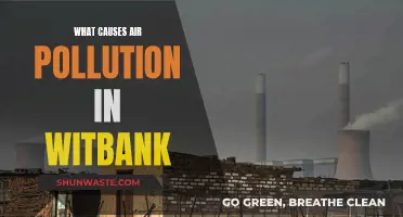 Unveiling the Sources: Air Pollution's Hidden Causes in Witbank