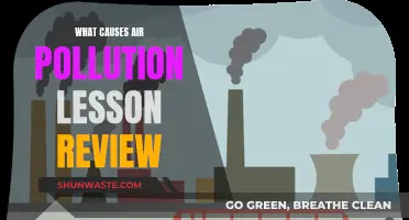 Unveiling Air Pollution's Hidden Causes: A Lesson Review