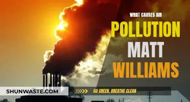 Unveiling Air Pollution's Hidden Causes: Matt Williams' Insights