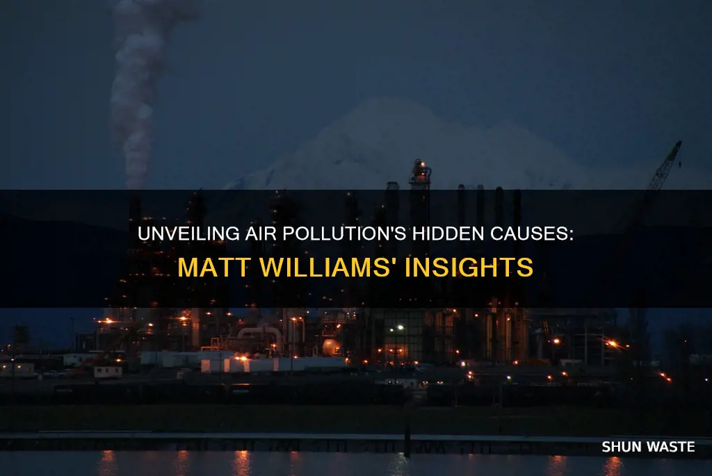 what causes air pollution matt williams