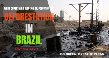 Unveiling Brazil's Environmental Crisis: Oil, Trees, and Air