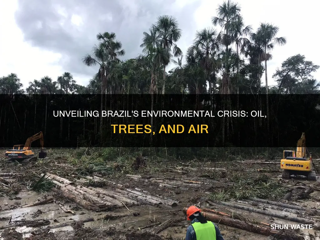 what causes air pollution oil pollution and deforestation in brazil