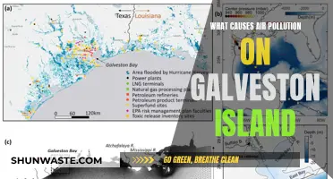 Unveiling Galveston's Air: Sources of Pollution on the Island