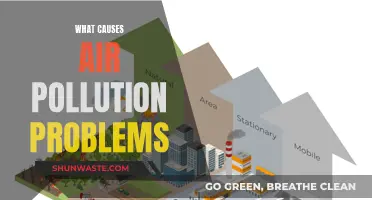 Air Pollution: Understanding the Root Causes