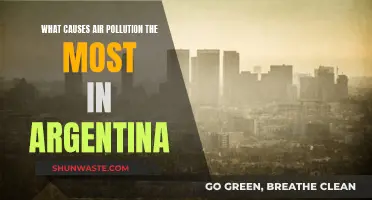 Air Quality Crisis: Argentina's Hidden Polluters Revealed