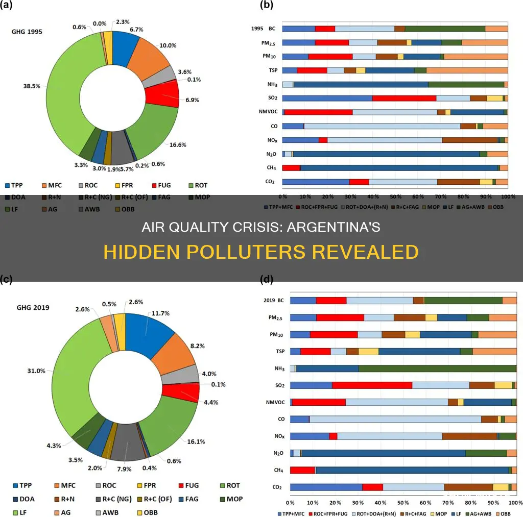 what causes air pollution the most in argentina