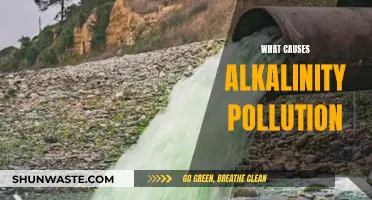 Unveiling the Sources: Understanding Alkalinity Pollution