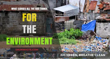 Human Activities and Their Devastating Impact on Our Environment