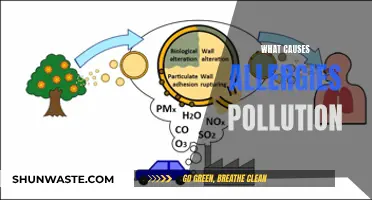 Unveiling the Allergy-Inducing Impact of Pollution: A Comprehensive Guide