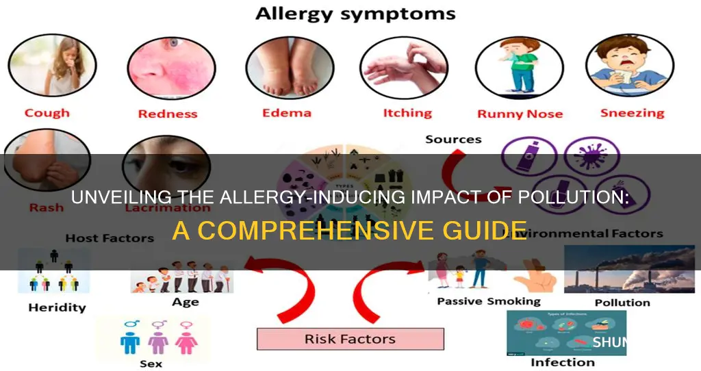 what causes allergies pollution