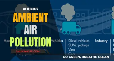 Unveiling the Complex Web: Understanding Ambient Air Pollution Causes