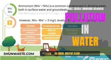 Unveiling the Sources: Understanding Ammonia Nitrogen Water Pollution