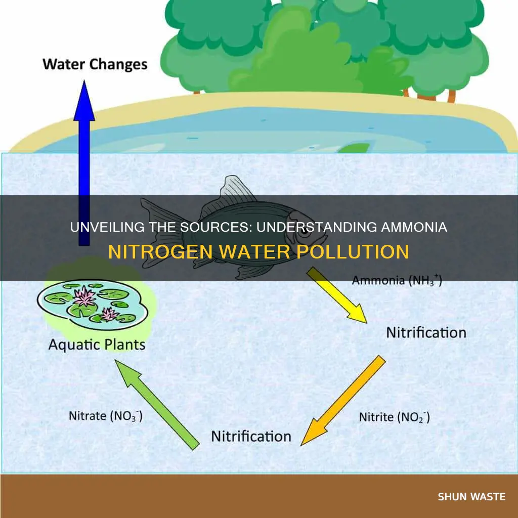 what causes ammonia nitrogen pollution in water