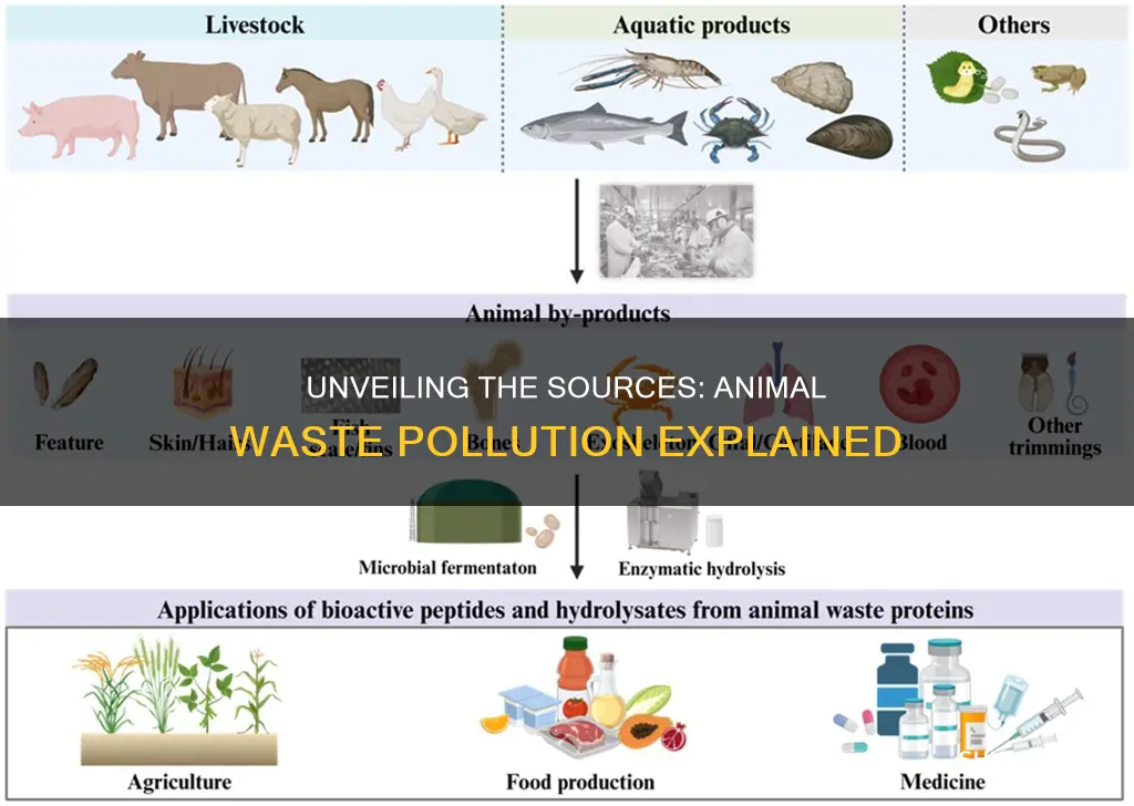 what causes animal waste pollution