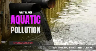 Unveiling the Hidden Causes of Aquatic Pollution