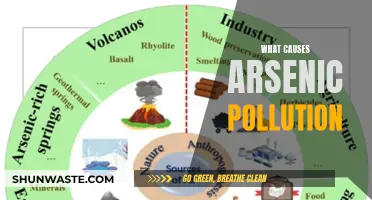 Unveiling the Sources: Understanding Arsenic Pollution